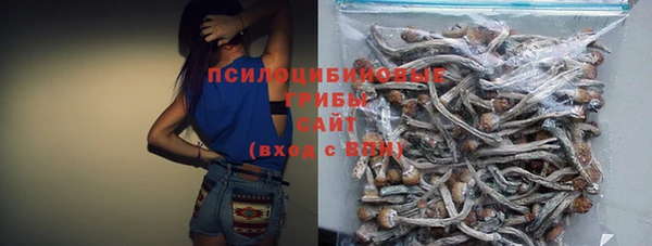 ПСИЛОЦИБИНОВЫЕ ГРИБЫ Армянск